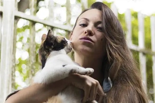 Ali se mačke rade poljubljajo? fascinanten odgovor