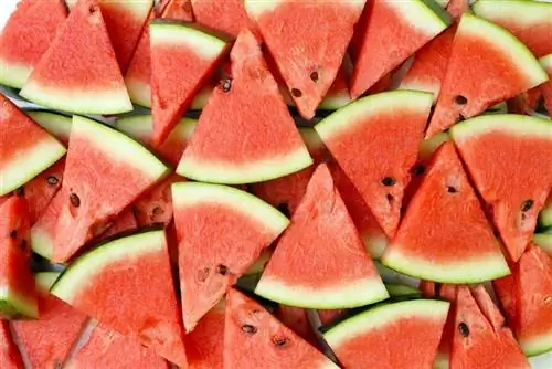 Kan esler spise vannmelon? Er det bra for dem?