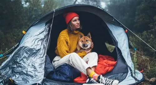Vrhunski kontrolni popis za kampiranje s vašim psom (sa savjetima)