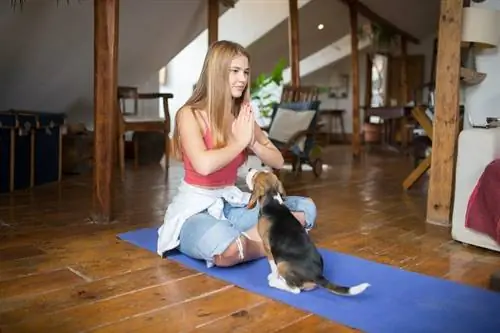 5 beneficis del ioga per a gossos (per a gossos i els seus humans)