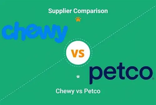 Chewy vs Petco: Ktorý si vybrať? Naše porovnanie 2023