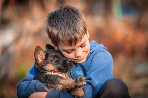 7 beneficii ale câinilor și copiilor care cresc împreună