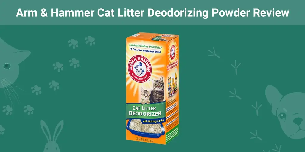 Recensione della polvere deodorante per lettiera per gatti Arm and Hammer 2023