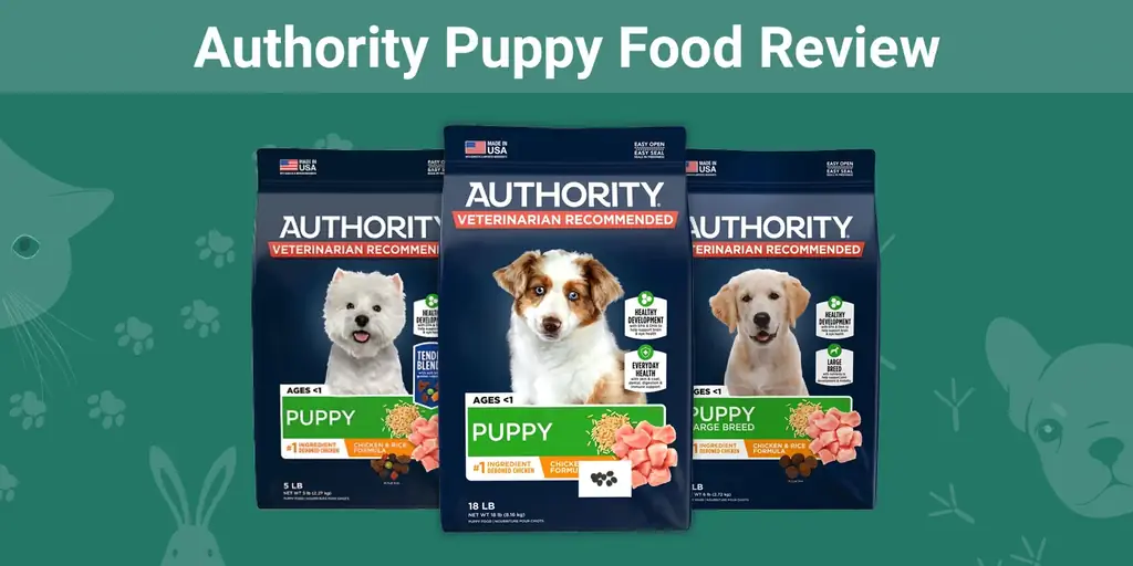 Authority Puppy Food Review 2023: opoziva, prednosti & Protiv
