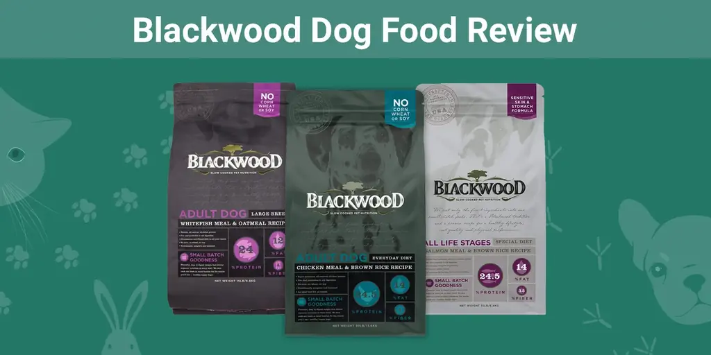 Blackwood Dog Food Review 2023: عمليات الاستدعاء والإيجابيات & سلبيات