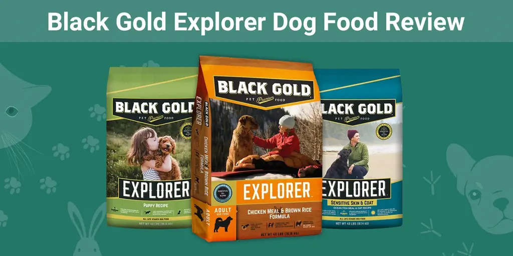 Black Gold Explorer Dog Food Review 2023: Herroepings, voordele & Nadele