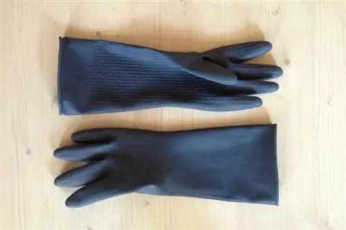 Bi morali nositi rokavice za akvarij? 7 pomembnih razlogov