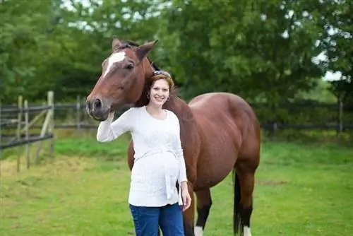 Можете ли да яздите кон, докато сте бременна? Какво трябва да знаете