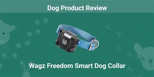 Wagz Freedom išmaniųjų šunų antkaklių apžvalga 2023 m.: mūsų eksperto nuomonė
