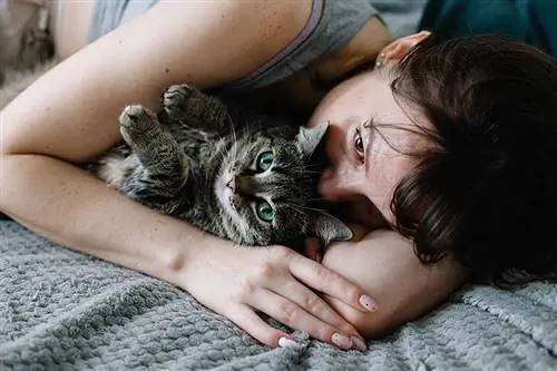 Ar katės gali būti emocinės paramos gyvūnai? Ką tu turi žinoti