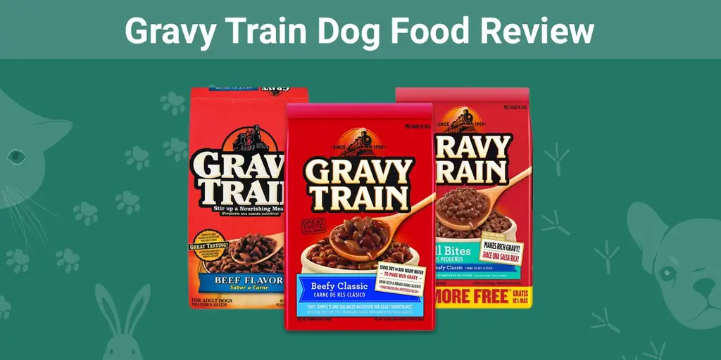 Gravy Train Dog Food Review 2023: recordatoris, avantatges & contres
