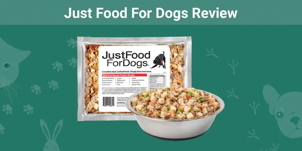 Just Food For Dogs Review 2023: ความคิดเห็นของผู้เชี่ยวชาญ