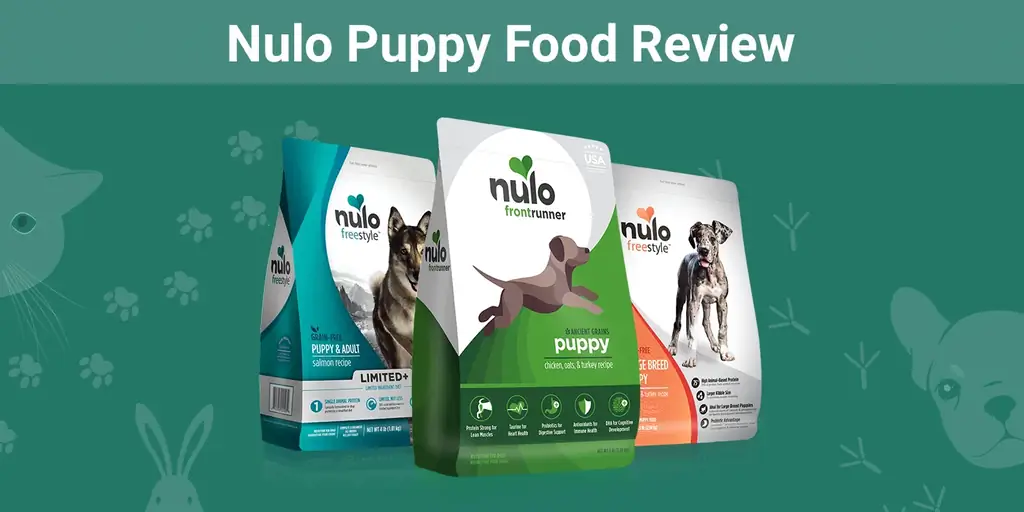 Nulo Puppy Food Review 2023: Еске салады, жақсы жақтары & Кемшіліктері