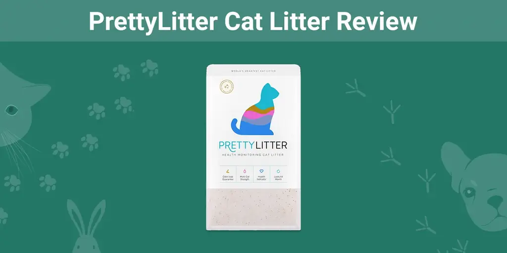 PrettyLitter Cat Litter 2023 მიმოხილვა: კარგი ღირებულებაა?