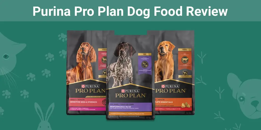 Purina Pro Plan Dog Food Review 2023: voordelen & nadelen en terugroepacties