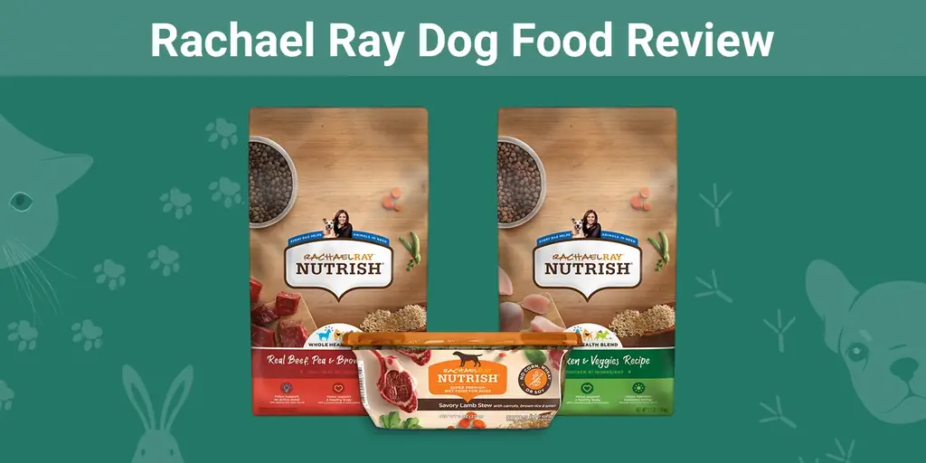 Rachael Ray Dog Food Review 2023 : rappels, avantages & inconvénients