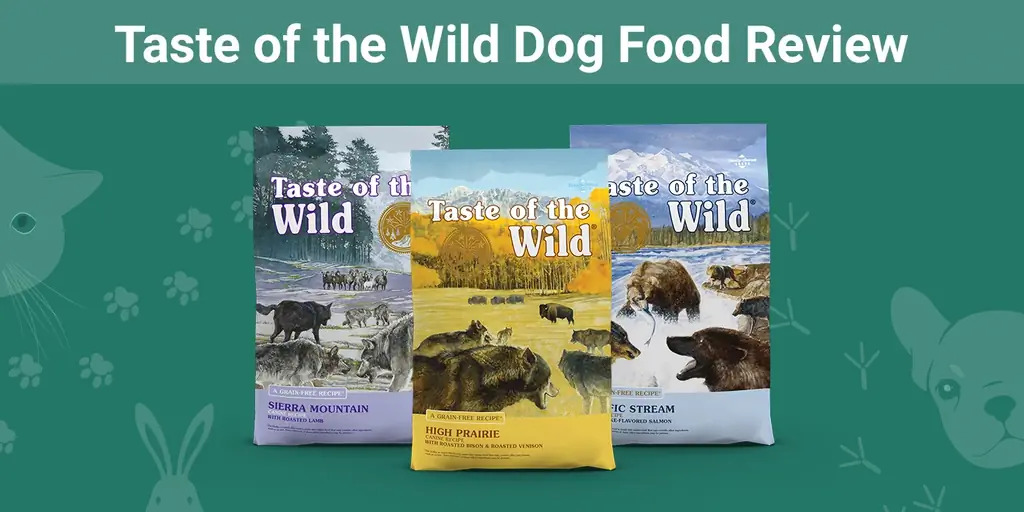 Taste of the Wild Dog Food Review 2023: povlačenja, prednosti & Protiv