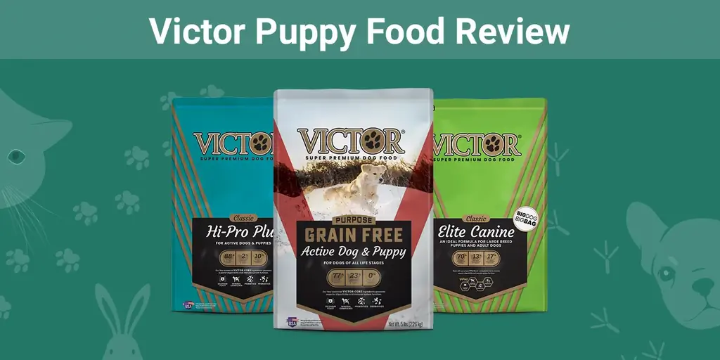 Victor Puppy Food Review 2023. Հիշում է, կողմ & Դեմ