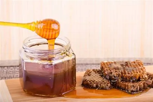 Ligtas ba ang Honey para sa mga Aso? Mga Benepisyo & Ipinaliwanag ang Mga Panganib
