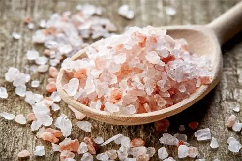 Jakie są niebezpieczeństwa związane ze stosowaniem soli kamiennej w pobliżu zwierząt domowych? (Odpowiedź weterynarza)