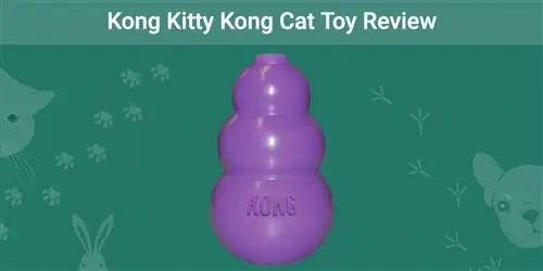 Kong Kitty Kong Cat Toy Review 2023: Pros, Cons & Verdict