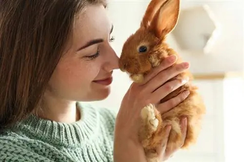 Känner kaniner igen sitt namn? Svaret är fascinerande