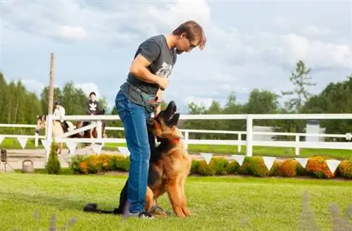 Magkano ang kinikita ng mga Dog Trainer? (2023 Salary Overview)
