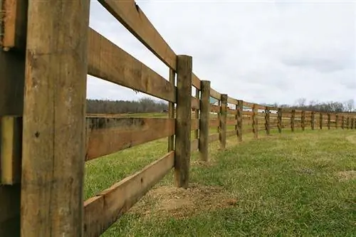 Combien coûte une clôture pour chevaux ? La réponse surprenante