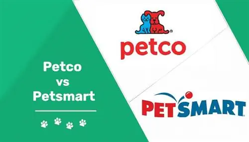 Petco vs Petsmart 2023: ფასების შედარება, ტრენინგი, მოვლა & მეტი