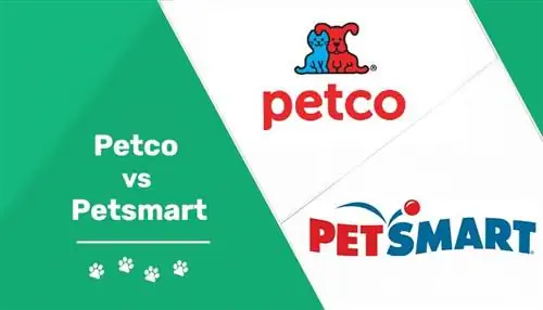 Petco vs Petsmart 2023፡ ዋጋዎችን ማወዳደር፣ ስልጠና፣ እንክብካቤ & ተጨማሪ