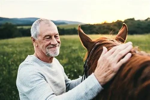 შეუძლია თუ არა ცხენს თქვენი გრძნობების ამოცნობა? რასაც მეცნიერება ამბობს