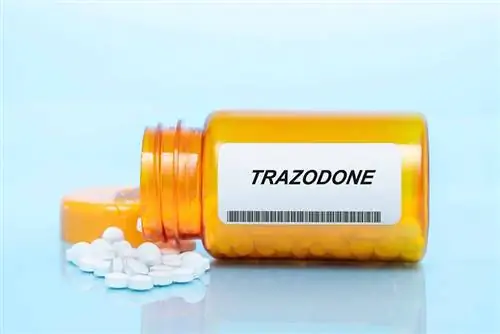 Trazodone for Dogs: ข้อมูล, การใช้งาน & คำถามที่พบบ่อย (คำตอบจากสัตวแพทย์)