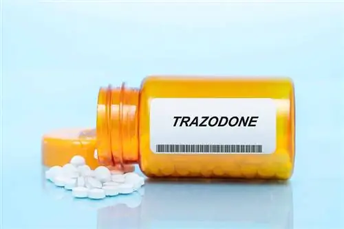 Trazodone për qentë: Informacion, Përdorimi & Pyetje të shpeshta (Përgjigja e Veterinës)