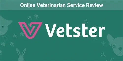 Recenze online veterinární služby Vetster 2023: Názor našeho odborníka