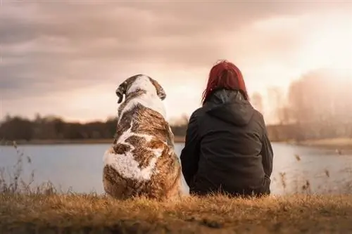 Hoe een hond met emotionele steun te trainen: cruciale ESA-vaardigheden