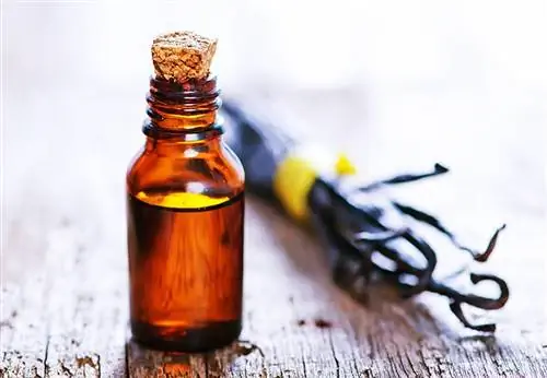 Ligtas ba para sa Pusa ang Vanilla Essential Oil? Sinuri ng Vet ang Mga Katotohanan sa Toxicity