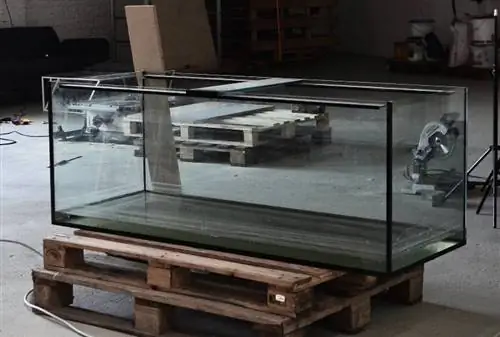 9 καλύτερα έργα DIY Fish Tank Lid Project (με εικόνες)