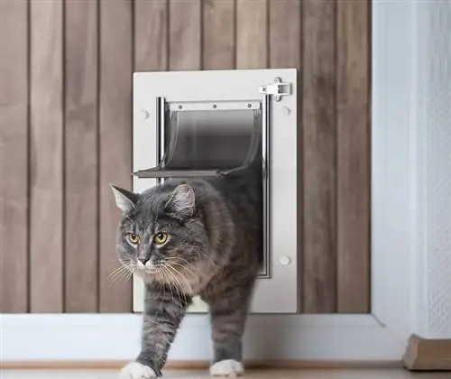 10 meilleures portes pour chats par temps froid en 2023 – Avis &