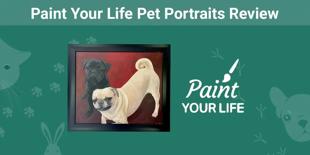 Paint Your Life Pet Portraits Review 2023: Vår eksperts mening