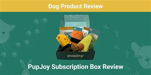 PupJoy Dog Subscription Box Review 2023: Is dit 'n goeie waarde?