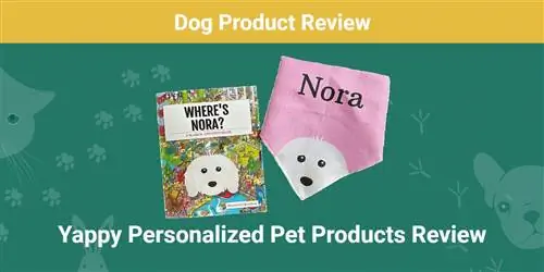 Yappy Personalized Pet Products Review 2023: Är det ett bra värde?