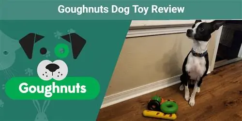 Goughnuts Dog Toy მიმოხილვა 2023: კარგი ღირებულებაა?