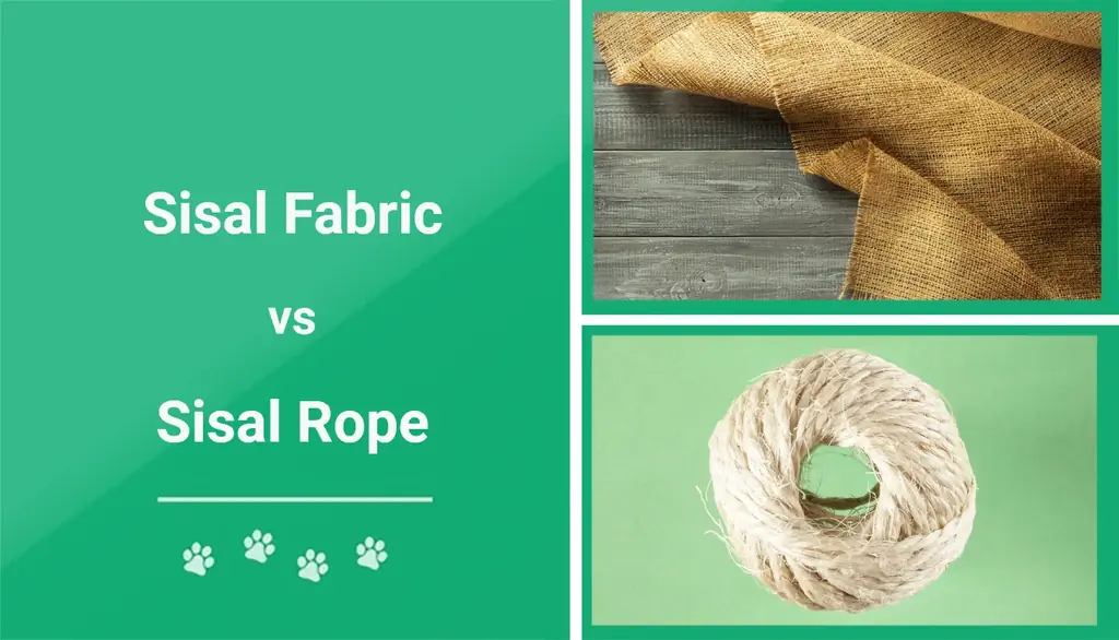 Тъкан от сизал срещу въже от сизал за стълбове за драскане на котки: Каква е разликата?