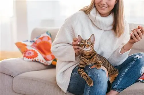 Jak sprawić, by Twój dom był przyjazny kotom (przewodnik 2023)