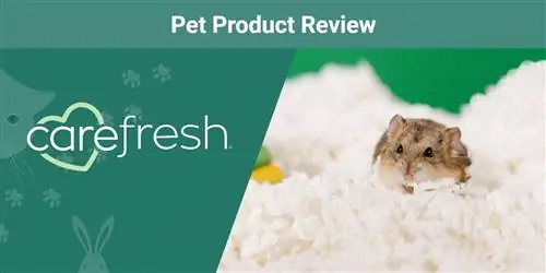 Carefresh® Жижиг гэрийн тэжээвэр амьтдын цаасан ор дэрний цагаан хэрэглэлийн тойм 2023: Манай мэргэжилтний санал бодол