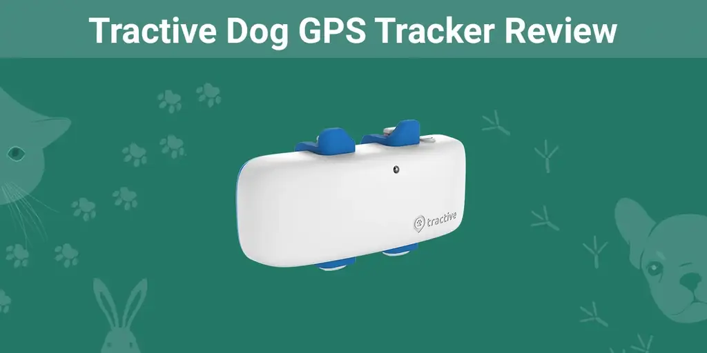 مراجعة Tractive Dog GPS Tracker 2023: رأي خبيرنا