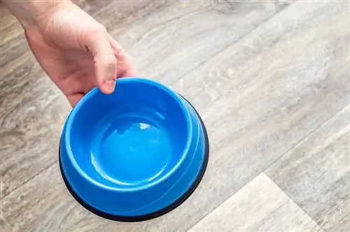 Kuinka usein koiranruokaa tulisi pestä & Vesikulhot: Eläinlääkärin hyväksymä neuvo