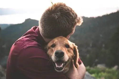როგორ მივიღოთ ემოციური დამხმარე ძაღლი (5 მარტივი ნაბიჯი)