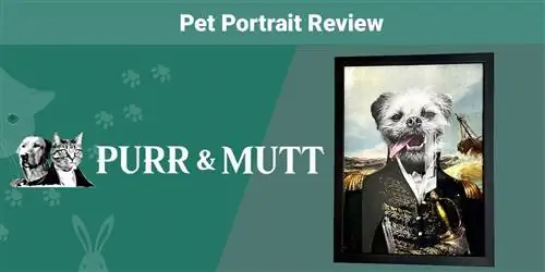 Мъркане & Mutt Pet Portrait Review 2023: Мнение на нашия експерт
