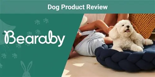 Bearaby Pupper Pod Dog Bed Review 2023: Er det en god verdi?